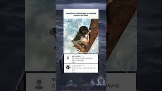 Kelakuan Cewe Emang Gitu memes ngakak lucu shorts trending babifreitas