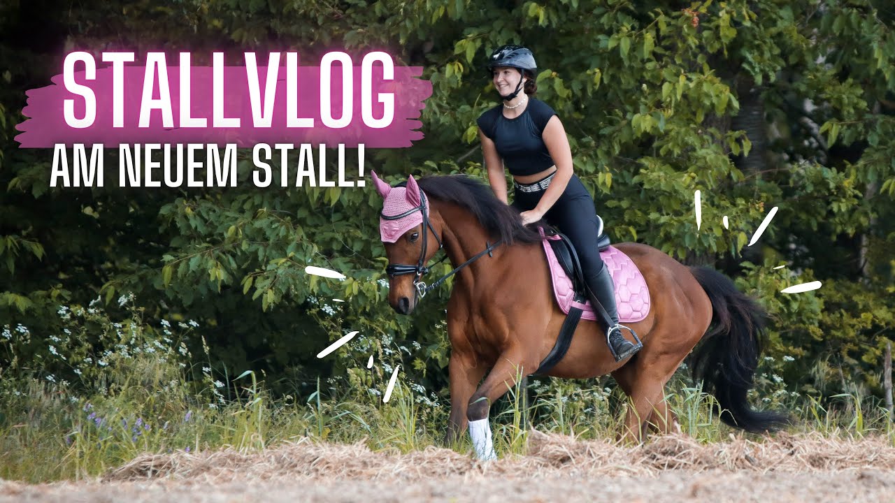ICH NEHME EUCH MIT IN DEN STALL!