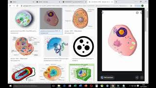 WEBQUEST CON GENIAL 1