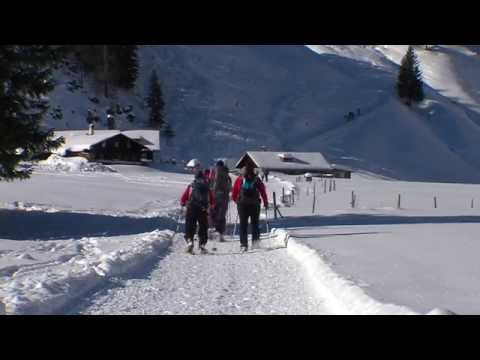 Schneeschuhwochenende im Schwarzwassertal Video