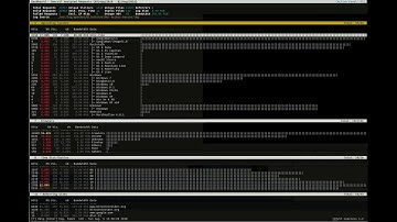LinuxInsider.gr: GoAccess, real time web log analyzer (ncurses)