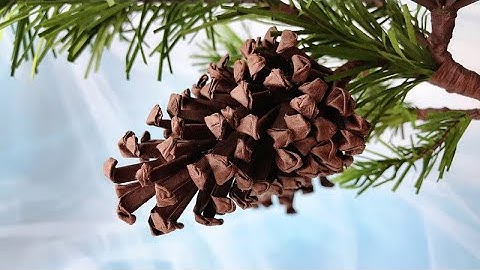 ABC TV | How To Make Pine Cones Paper - Craft Tutorial