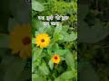 Instrumental #shorts #viral #flute