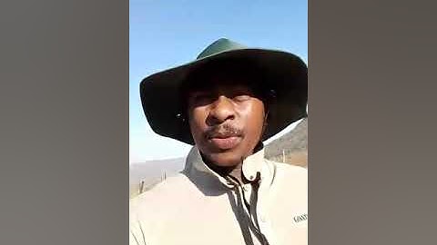 See how easy to earn through crowd1..