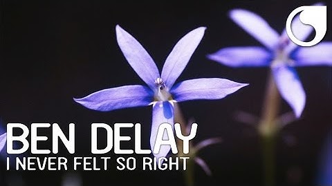 Thumbnail of Ben Delay - I Never Felt So Right (Official Lyric Video)