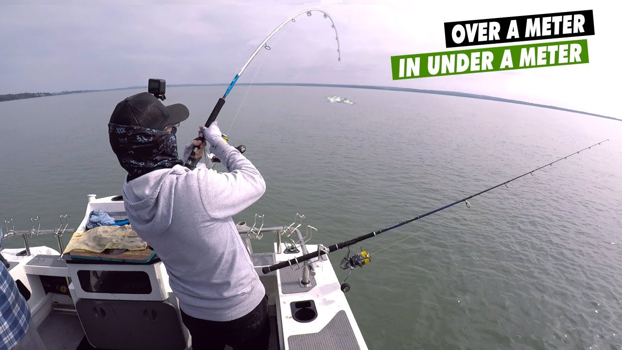 SHIMANO SARAGOSA SW 8000 | Chasing monsters in shallow waters SHIMANO SARAGOSA SW 8000 | Chasing monsters in shallow waters