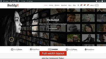 How to Set BuddyX Site Layout and Loader - WordPress Social Network Theme