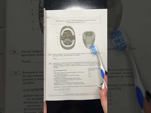 Разбор 13-го задания #егэ #биология #shorts