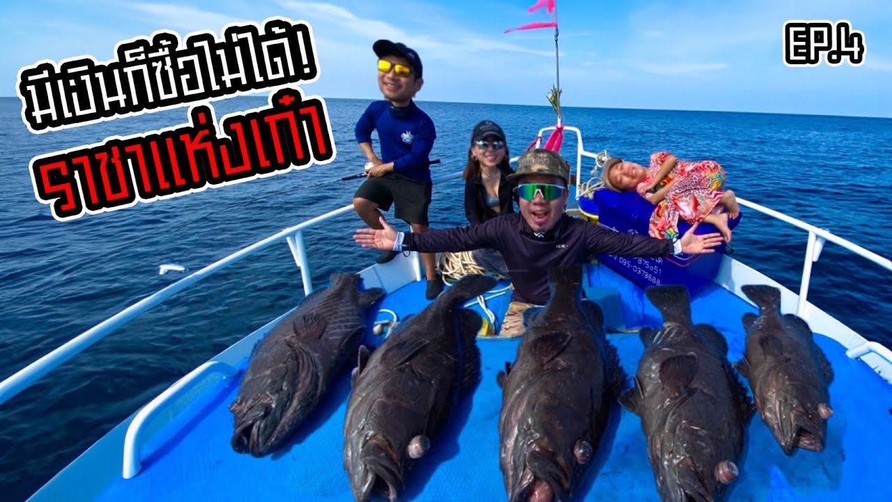 ตามหาปลาเก๋าถ่านไซส์ยักษ์ หายากสุดในท้องทะเล!