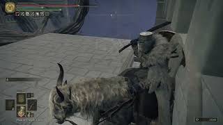 Gravity Death Bug | Elden Ring