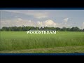 Woodstream world environment day 2022