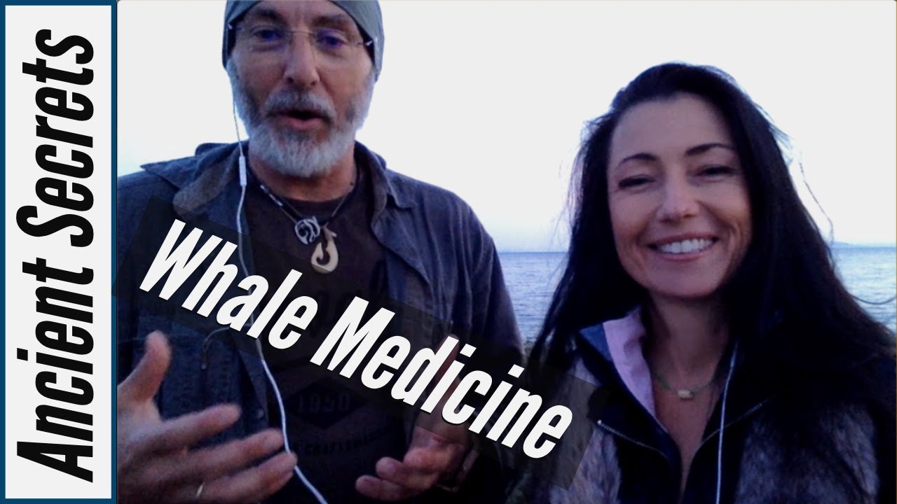 Whale Medicine | Holistic Wellness