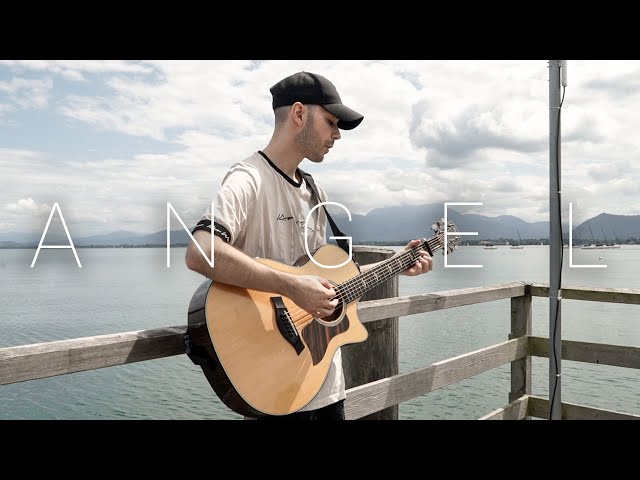Sarah McLachlan - Angel (Acoustic Cover by Dave Winkler) class=