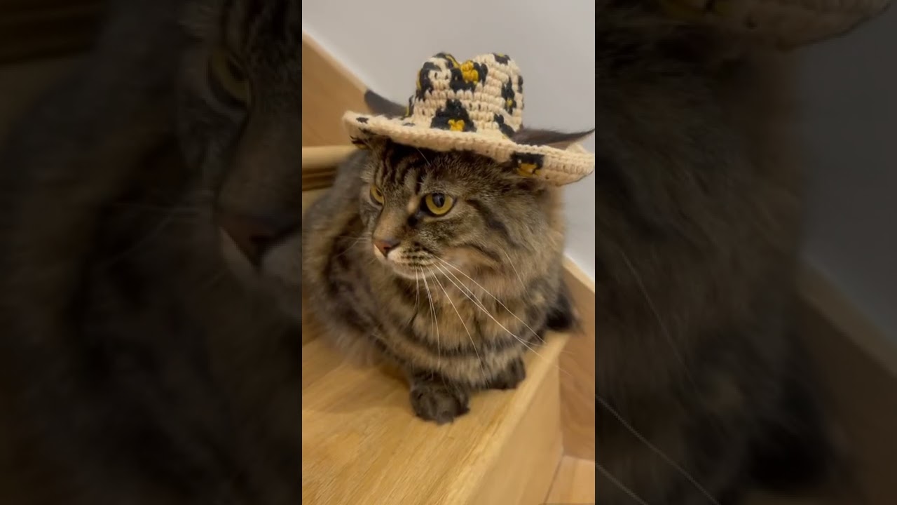 Leopard print cowboy hat 🤠 