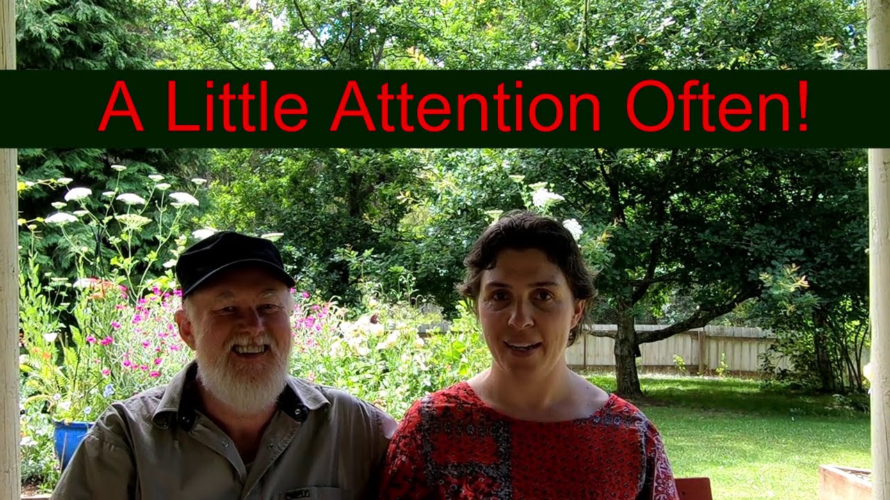 HOW Do You Manage Such A LARGE GARDEN YouTube how-do-you-manage-such-a-large-garden-youtube