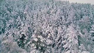 Восхождение на Говерлу зимой 2021 самостоятельно Carpathian mountains ukraine