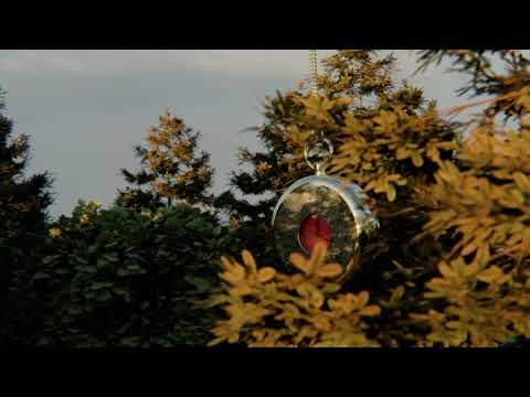 Just A Gent - Feel It Too (Visualizer)