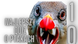 QUIZ PTAKI POLSKI 10 *na brzegu opodal krzaczka, siedziała...*