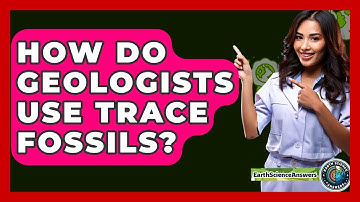 How Do Geologists Use Trace Fossils? - Earth Science Answers
