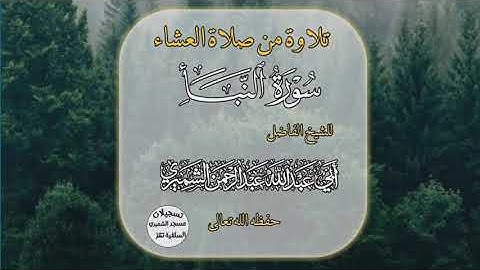 تلاوة للشيخ الفاضل عبدالرحمن الشميري حفظه الله تعالى سورة النبأ