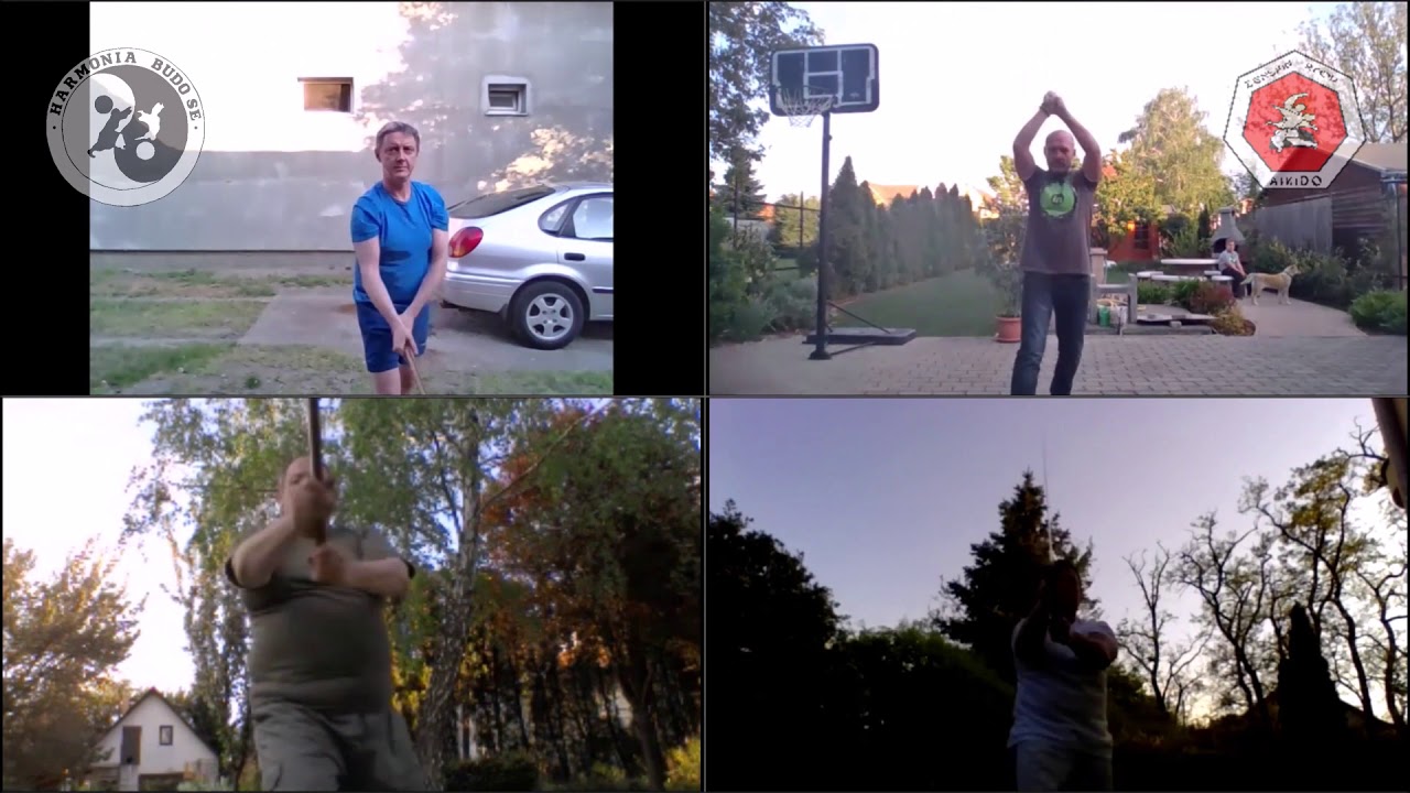 HBSE + Zenshin Training 300 cuts