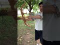 Super precise bow and arrow with pure wood rubber band