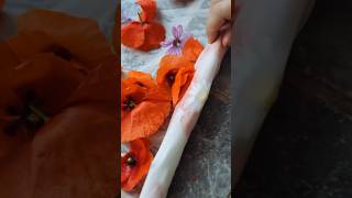 Bundle dye with poppies #naturaldye #ecoprint #poppy #shorts #flowers #nature