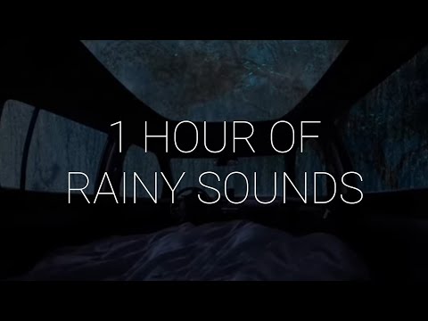 1 Hour Of Sleeping In A Car During Rainstorm With Let Go Ark Patrol Rain Music For Sleep