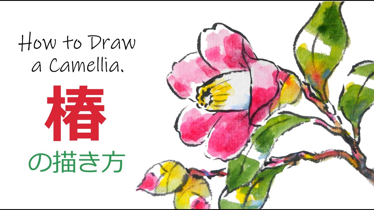 椿の絵の描き方 無料動画 春 冬の花の絵手紙スケッチ 12月 1月 2月 3月 絵手紙教室くぼ田