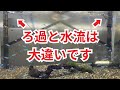 【これが全て】ろ過フィルターを変えれば汚れなくなる理由