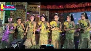 tonton sampai akhir DJ paradise x artis agung budoyo ngreooogg seru