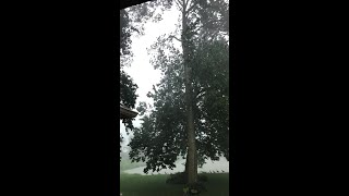 Lightning strikes in Fort Wayne, West State Street