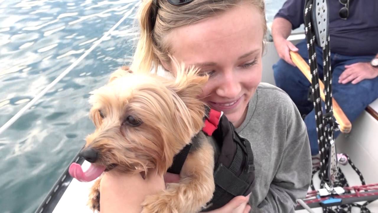 Sailing with a Small Dog