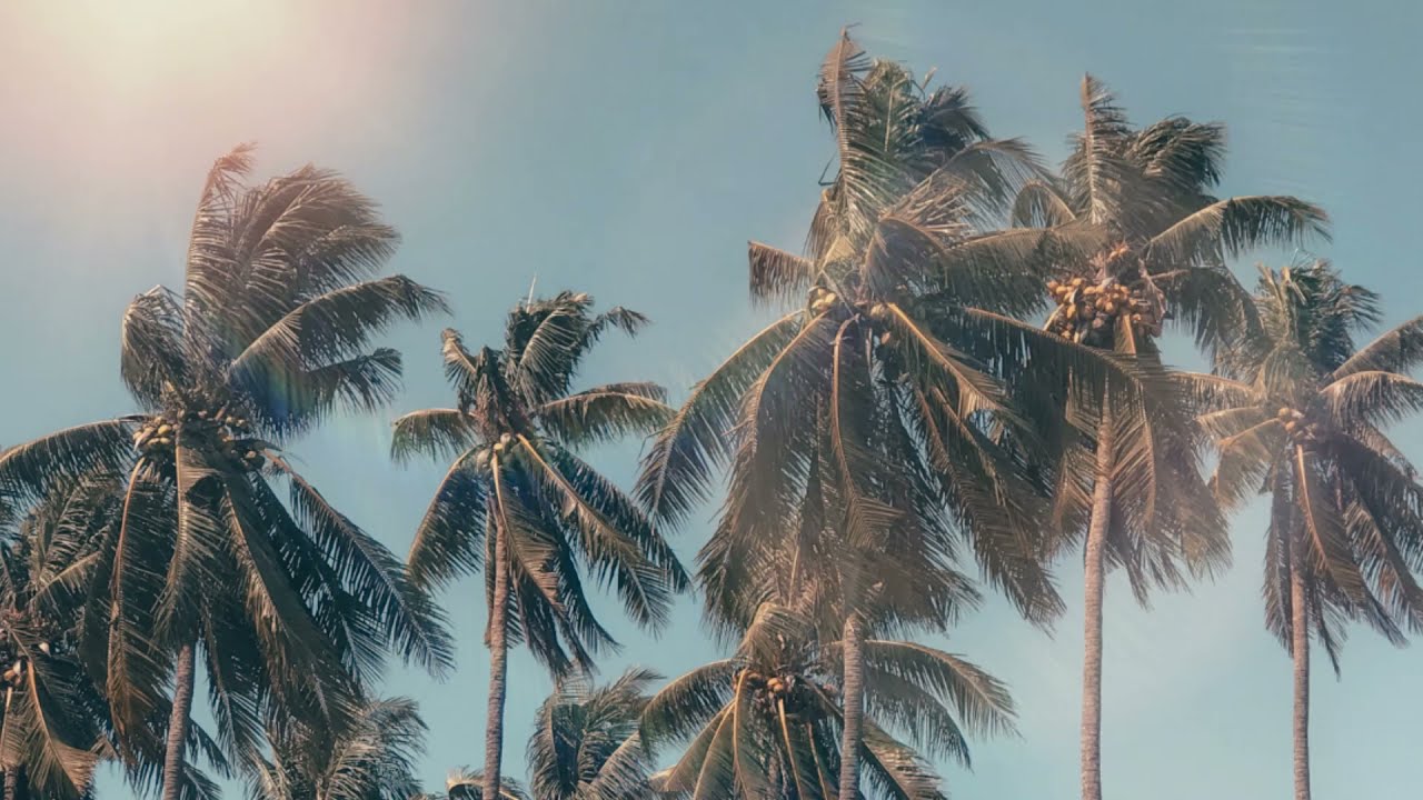 Sarge Malone - Where I belong