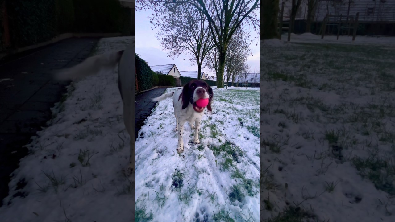 I think she’s trying to tell me something... 😂🟠