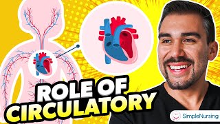 Unveiling the Vital Role of the Circulatory System