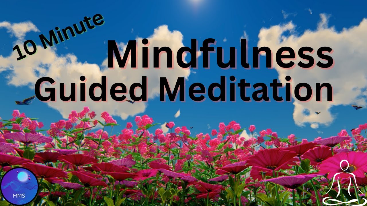 10 Minute Meditation: The BEST Way To Reduce Stress & Anxiety - YouTube
