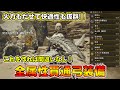 弓はこれ作れば間違いなし！高火力＆超快適な全属性貫通弓装備を紹介！まじで使いやすくて強い！スキルもりもりで超快適！【モンハンワイルズ】【モンスターハンターワイルズ】