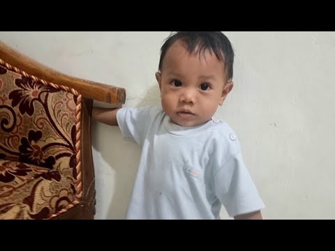 Gecko Hunting Mission Zefa Vlog