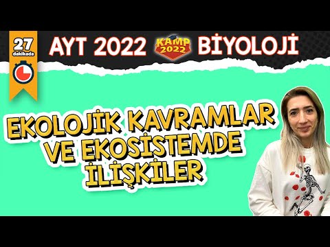 Video: Ekolojik ilişki ne anlama geliyor?