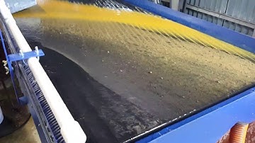 shaking table test - placer gold