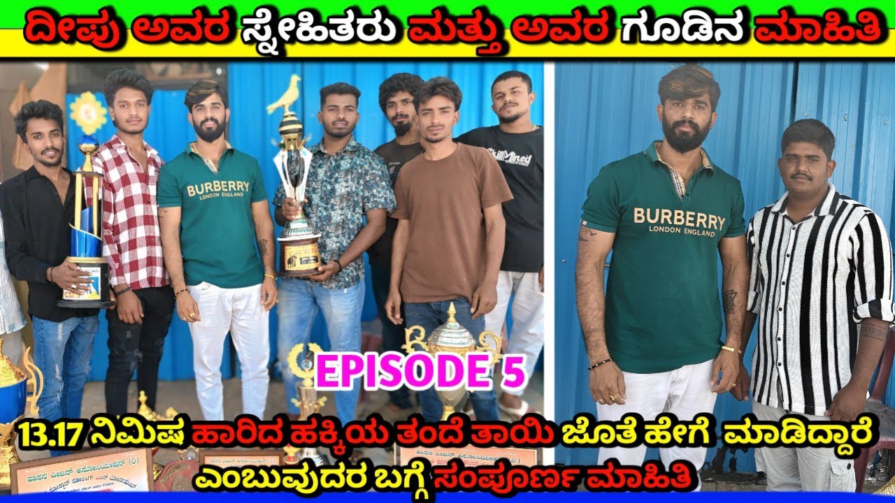 ⚜️ದೀಪು ಅವರ ಸ್ನೇಹಿತರು ಮತ್ತು ಅವರ ಗೂಡಿನ ಮಾಹಿತಿ ⚜️/@hassanpigeon3878 