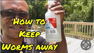 How to keep the worms away (Episode 86)
