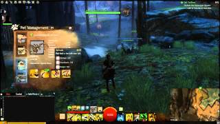 Guild Wars 2 - Ranger Pet Guide - Devourers - Whiptail & Lashtail
