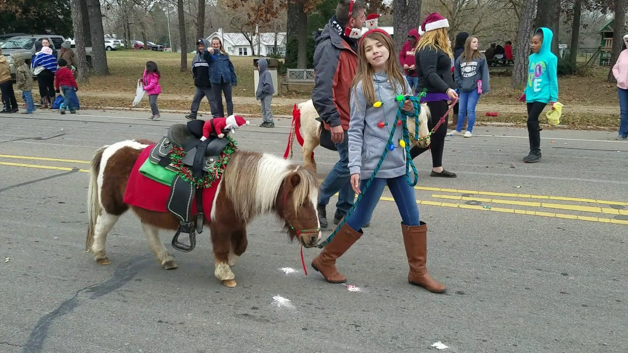 Quick Video ~ Star Christmas Parade 2018