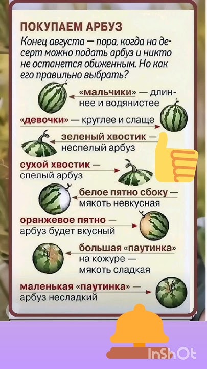 Как выбрать арбуз? Интересные факты Узнай Всё