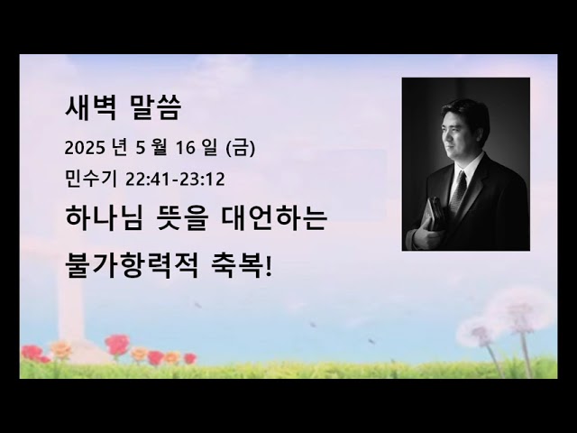 2025년 5월 16일(금)  민수기 22:41-23:12 하나님 뜻을 대언하는 불가항력적 축복