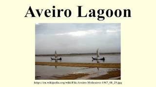 Aveiro Lagoon