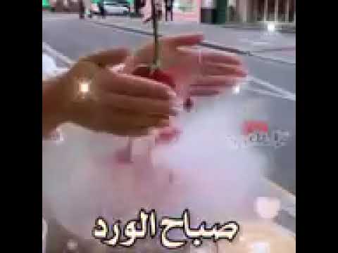 صبحتك بنور النبي مسيتك بال البيت