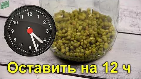 Природное сокровище - проростки маша. Рассказываю чем полезен маш и как его правильно проращивать
